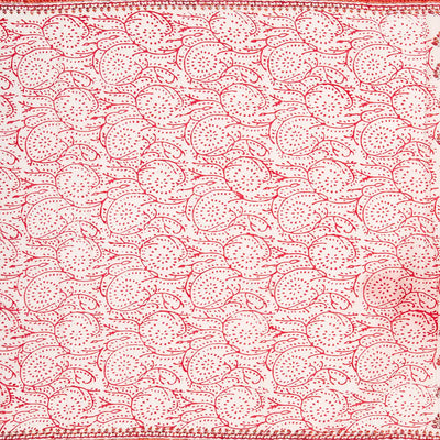 White Woven Jaipur Cotton Saree Printed And Flower  Motifs