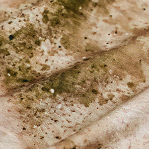 Cream Textured Abstract Shirt