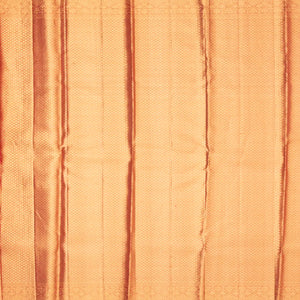 Peach Handloom Kanchipuram Tissue Silk Saree With Meena Floral Motifs