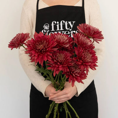 Fall Terracotta Chrysanthemum Flower