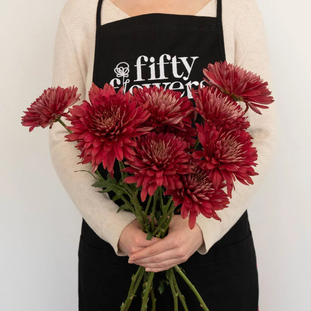 Fall Terracotta Chrysanthemum Flower