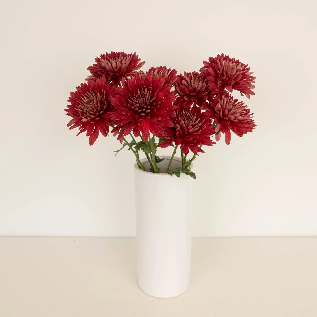 Fall Terracotta Chrysanthemum Flower