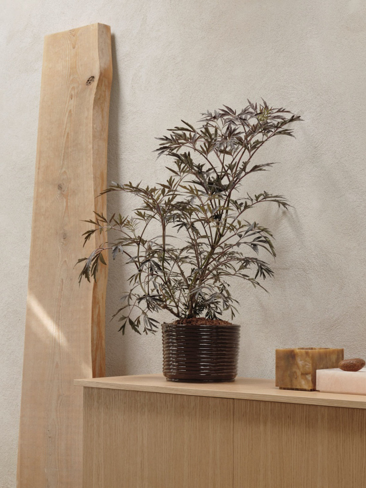 Corduroy Pot by Ferm Living