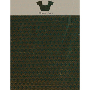 green-foil-printed-with-swarovski-vichitra-silk-saree-1