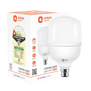 Eternal Shine LED Bulb