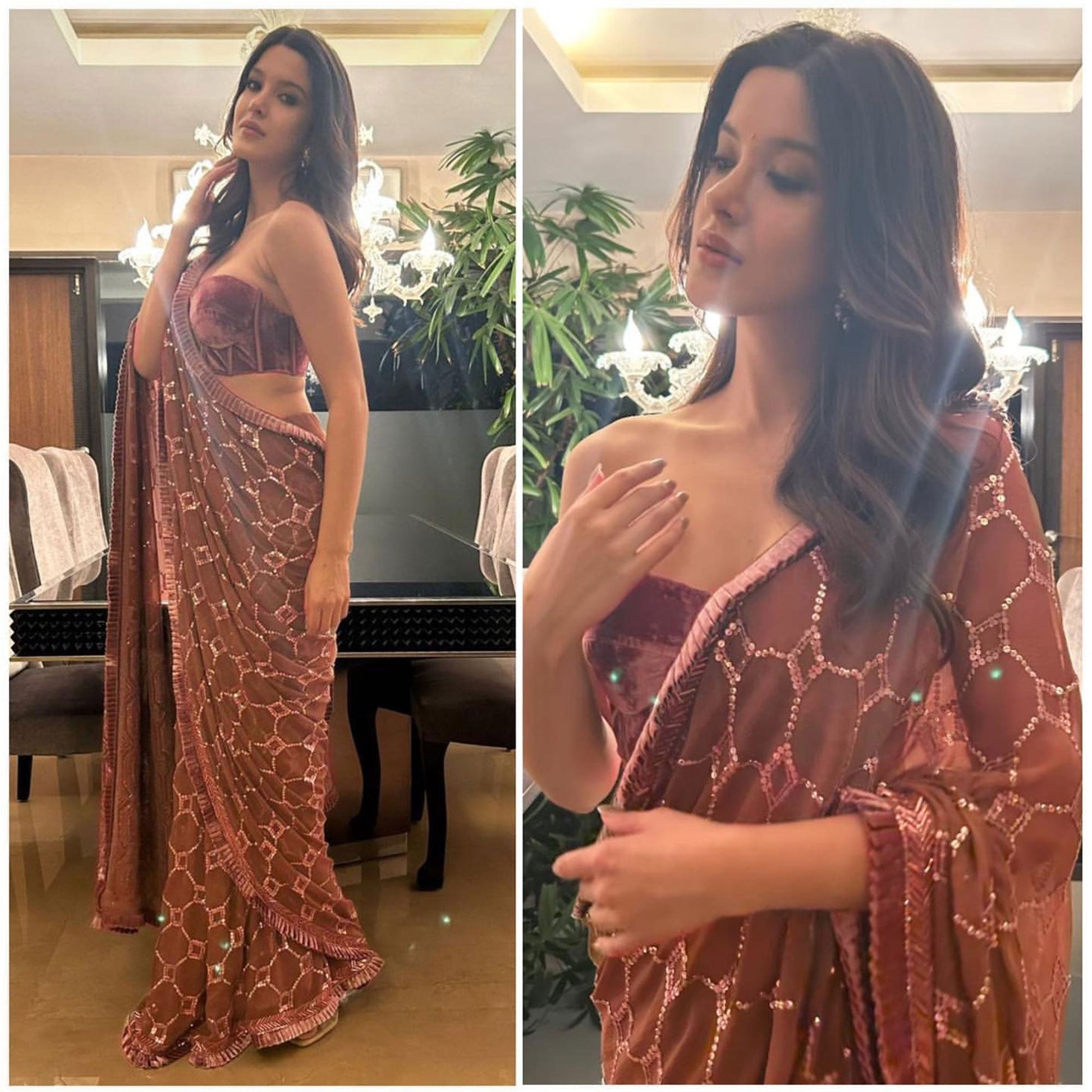 Brown Sequins Embroidered Georgette Saree