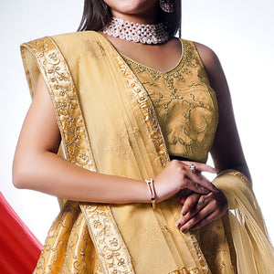 Chikoo Floral Embroidered Net Lehenga Choli