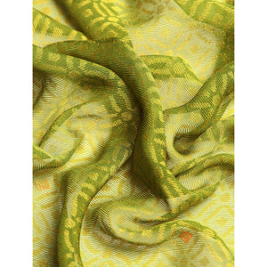 green-foil-printed-with-swarovski-brasso-saree