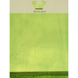 green-floral-embroidered-organza-saree-4