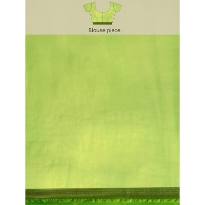 green-floral-embroidered-organza-saree-4