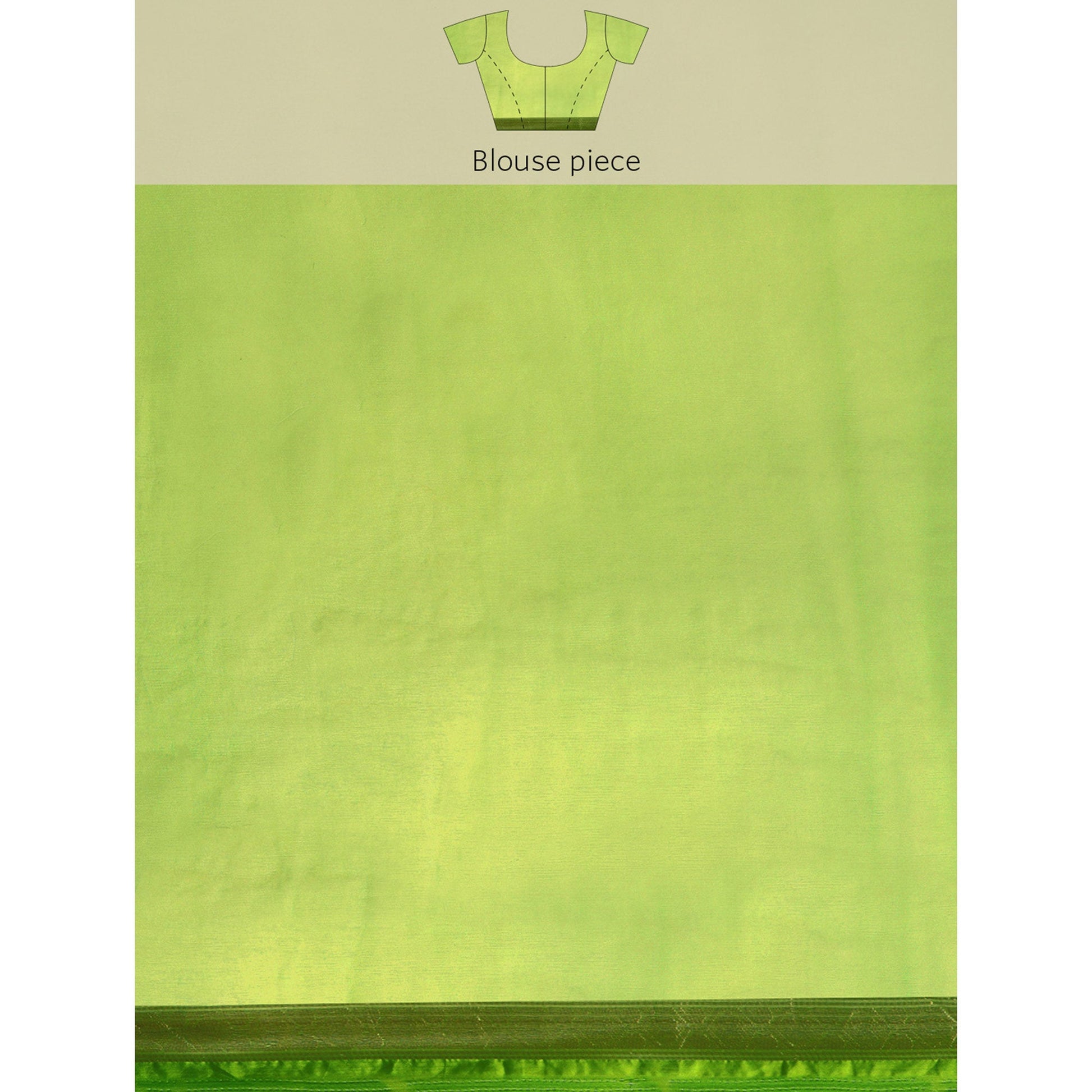 green-floral-embroidered-organza-saree-4