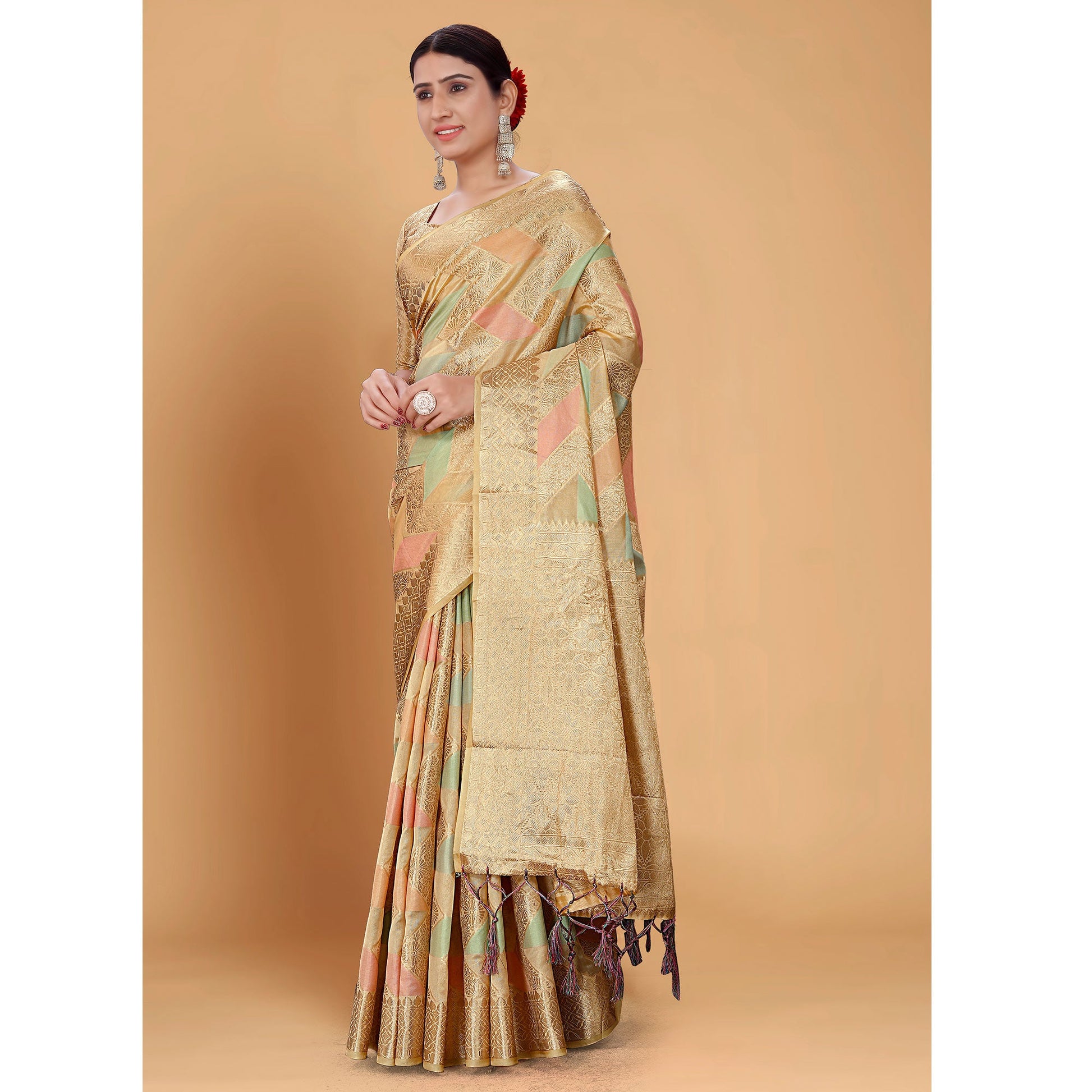 Chikoo Woven Organza Saree With Tassels