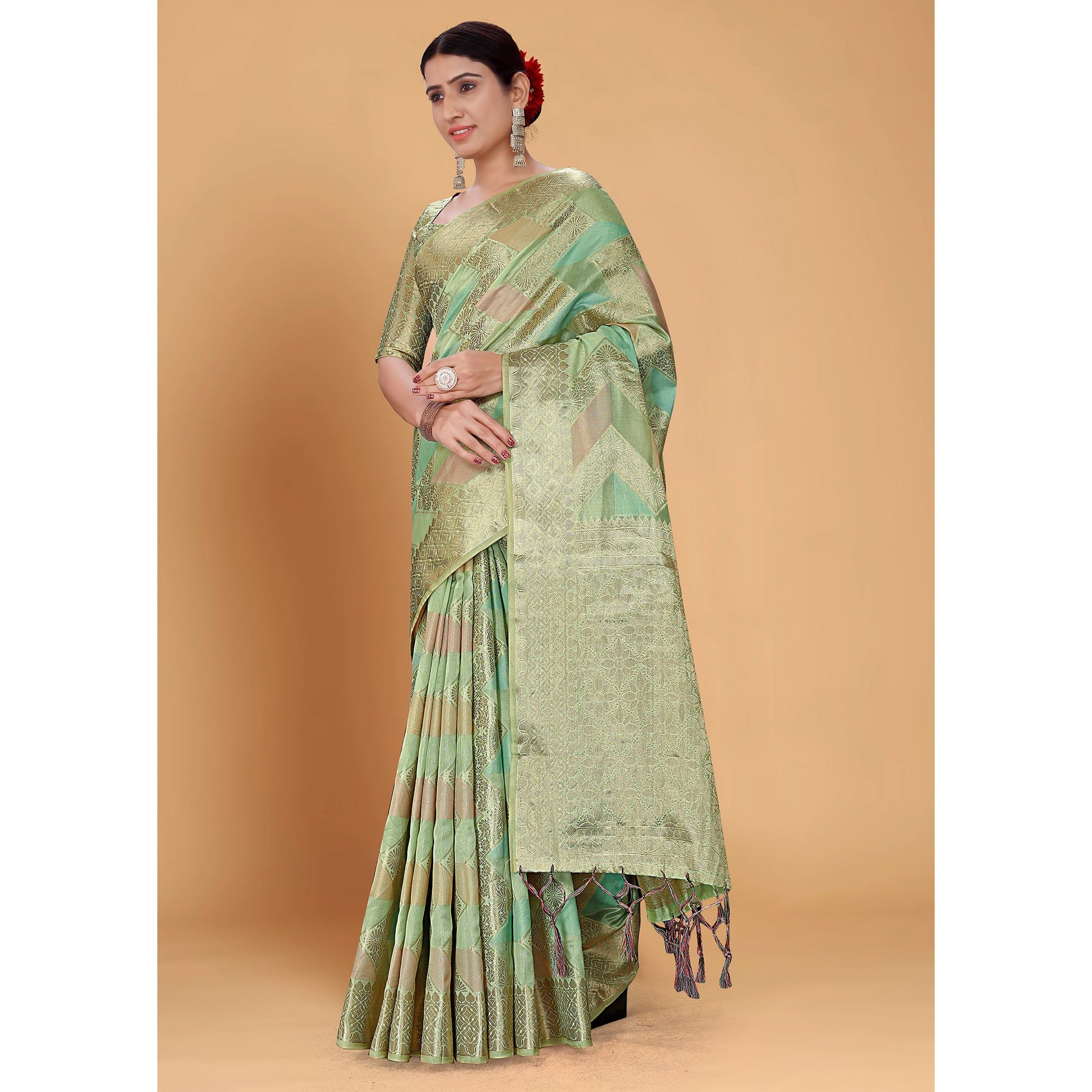 green-woven-organza-saree-with-tassels-12