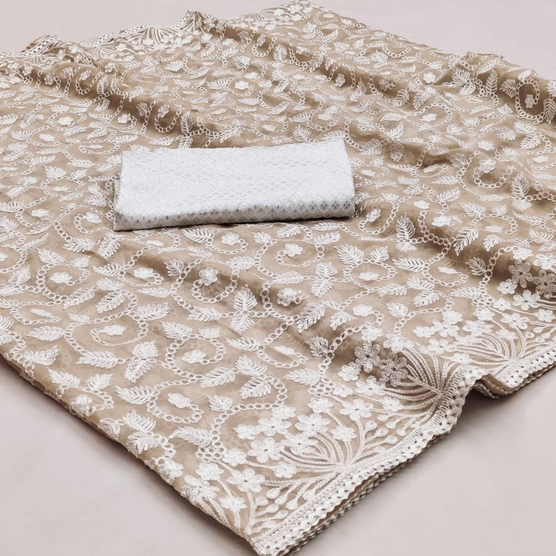 Light Brown Lucknowi Embroidered Organza Saree