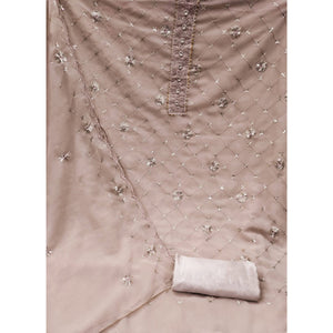 Chikoo Embroidered Sequins Georgette Dress Material