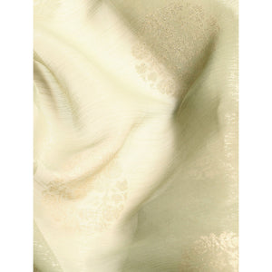 Light Green Foil Printed With Swarovski Chiffon Saree