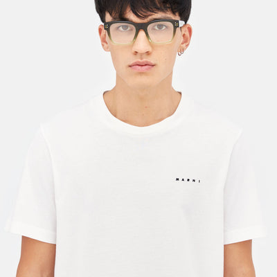 Abiod Faded Green