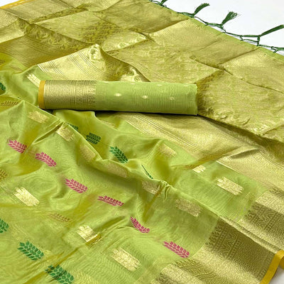 green-floral-woven-organza-saree-3