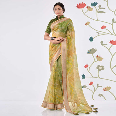 14green-printed-organza-saree-with-woven-border