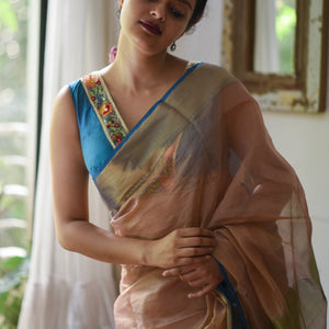 Firozi Bagicha