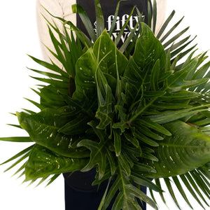 Forest Green Savanna DIY Greenery Kit