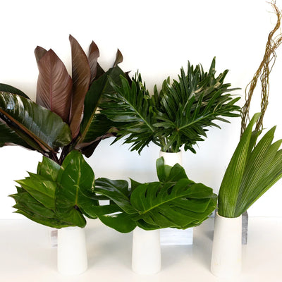 Forest Green Savanna DIY Greenery Kit