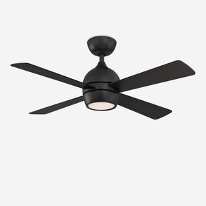 Indi Ceiling Fan + Light