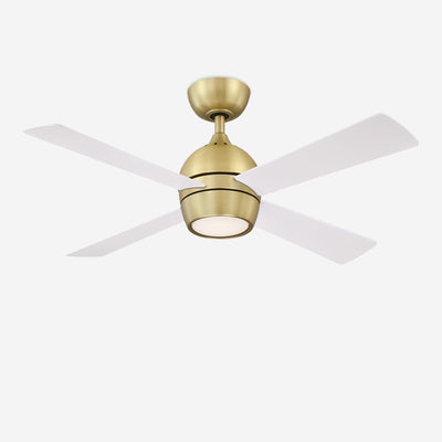 Indi Ceiling Fan + Light