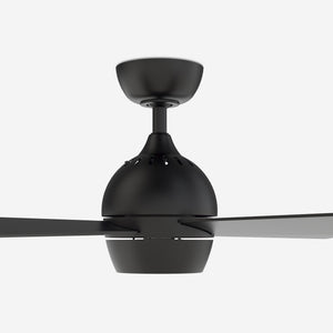 Indi Ceiling Fan + Light