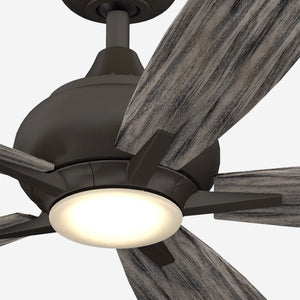 Donati Ceiling Fan + Light