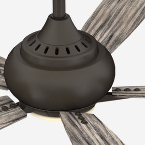Donati Ceiling Fan + Light