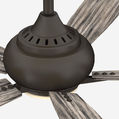 Donati Ceiling Fan + Light