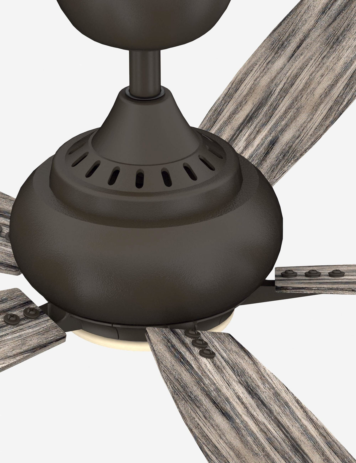 Donati Ceiling Fan + Light