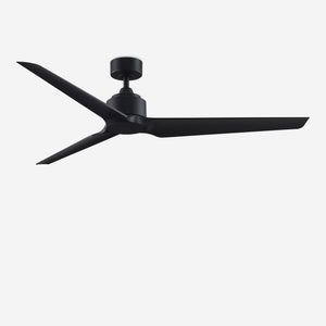 Aurore Ceiling Fan