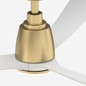 Cosima Ceiling Fan + Light
