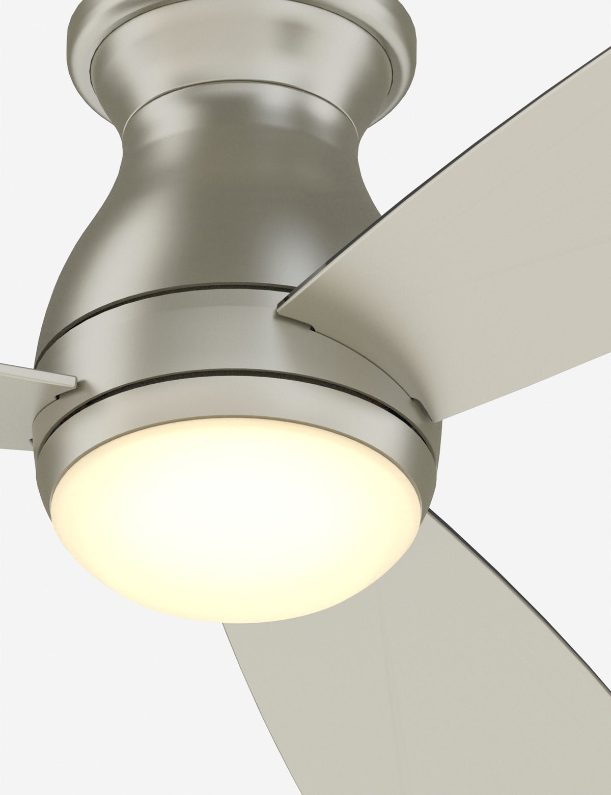 Vega Ceiling Fan + Light