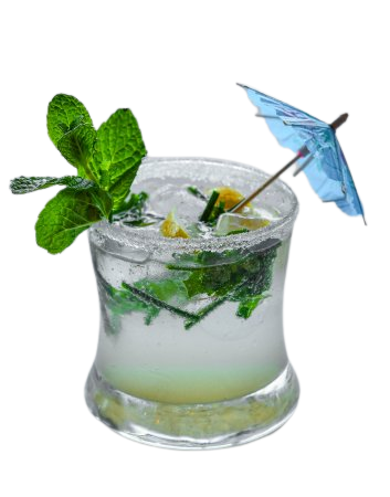 VIRGIN MOJITO