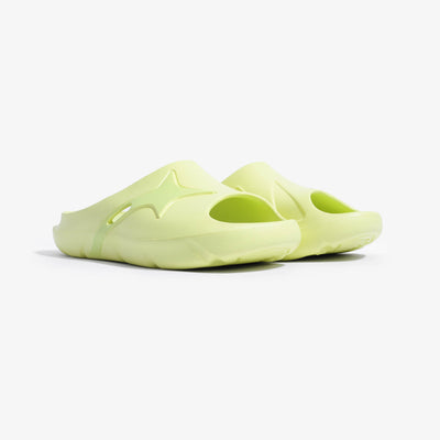 Slides LIME