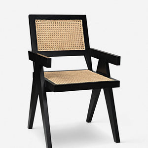 Alvi Dining Chair