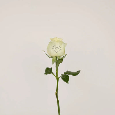 Glow in The Dark Black Bat Rose