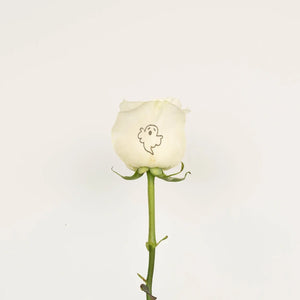 Glow in The Dark Ghost White Rose