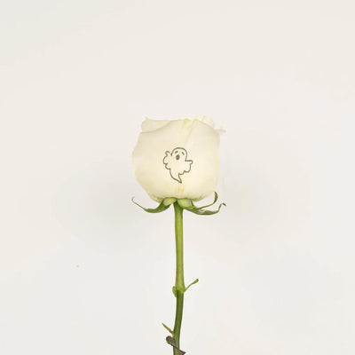 Glow in The Dark Ghost White Rose