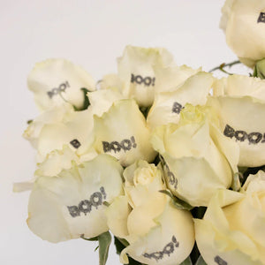 Glow in The Dark Halloween Boo! Rose