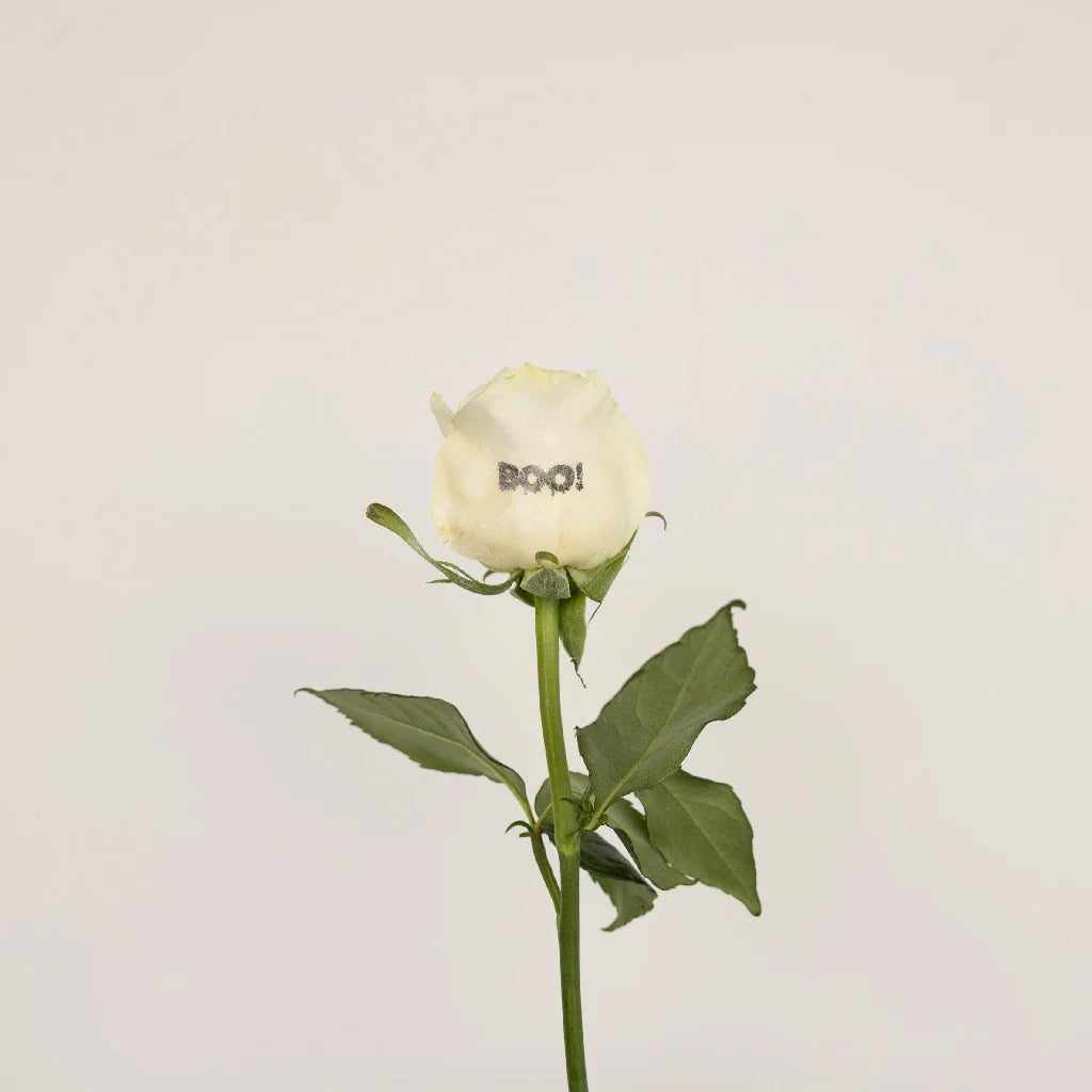 Glow in The Dark Halloween Boo! Rose