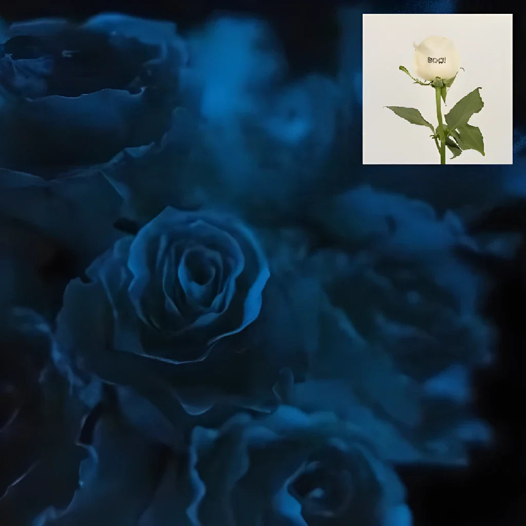 Glow in The Dark Halloween Boo! Rose