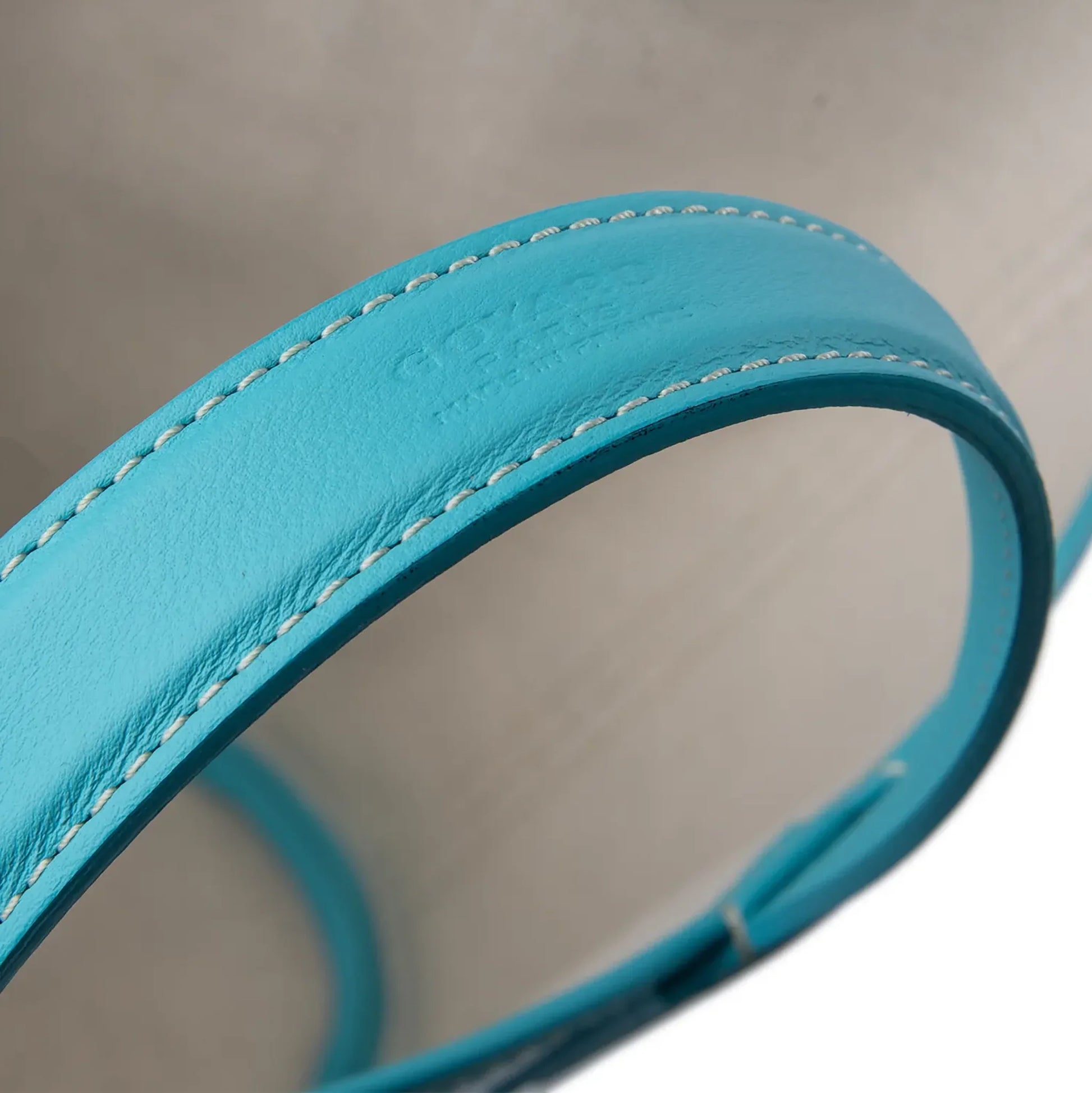 Goyard Belharra Turquoise PM Tote Bag