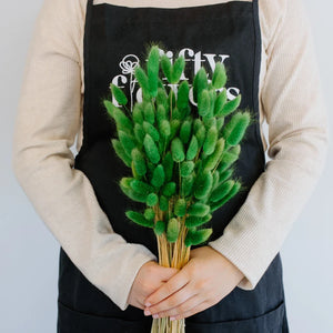 Green Dried Bunny Tail Grass