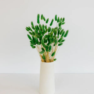 Green Dried Bunny Tail Grass