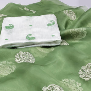 green-embroidered-organza-saree