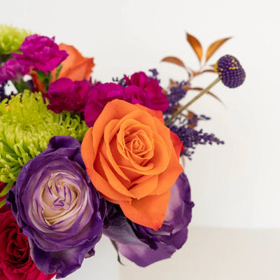 Halloween Hocus Pocus DIY Flower Kit
